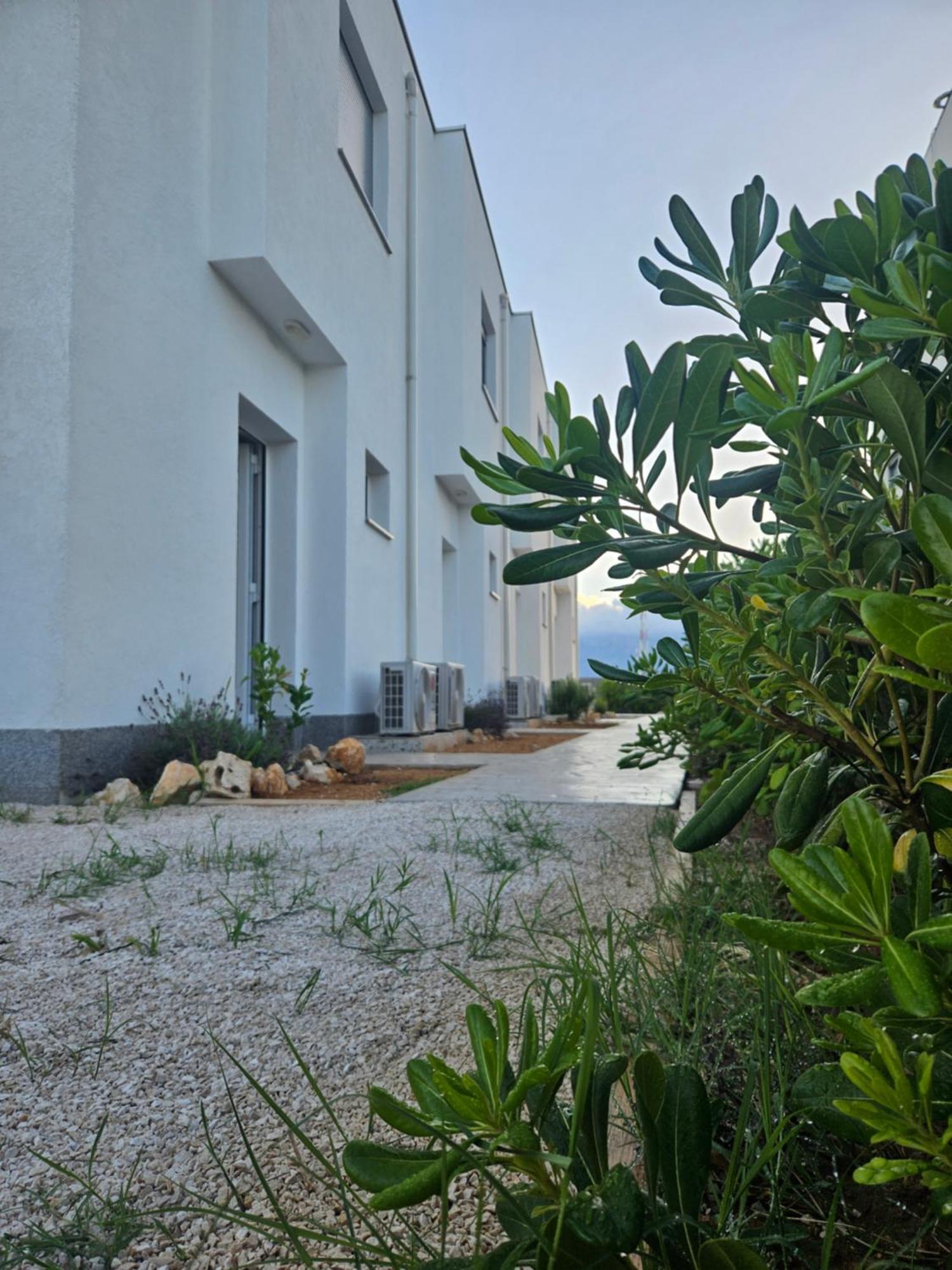 Bura House Villa Povljana Kamer foto